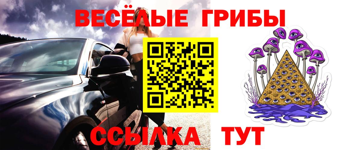 Черногорск  Галлюциногенные грибы Magic Shrooms  Вход с VPN 